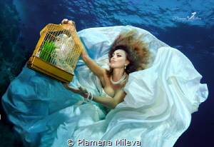 "The cage" by Plamena Mileva 